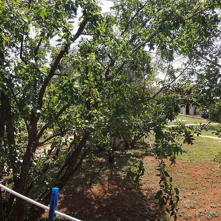 Lavanda 3 Пореч