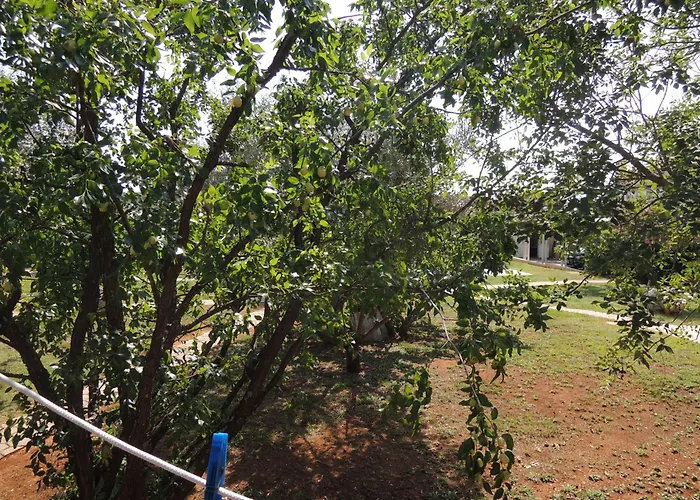 Lavanda 3 Пореч